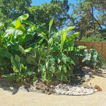 Maison Avec Jacuzzi Et Piscine A 900m Plage, Foret Nyaraló *