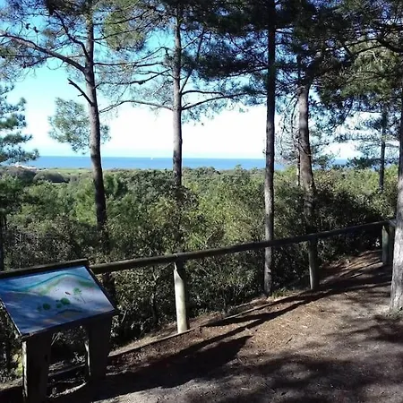 Maison Avec Jacuzzi Et Piscine A 900m Plage, Foret *